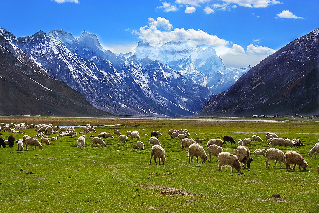 Majestic Kashmir